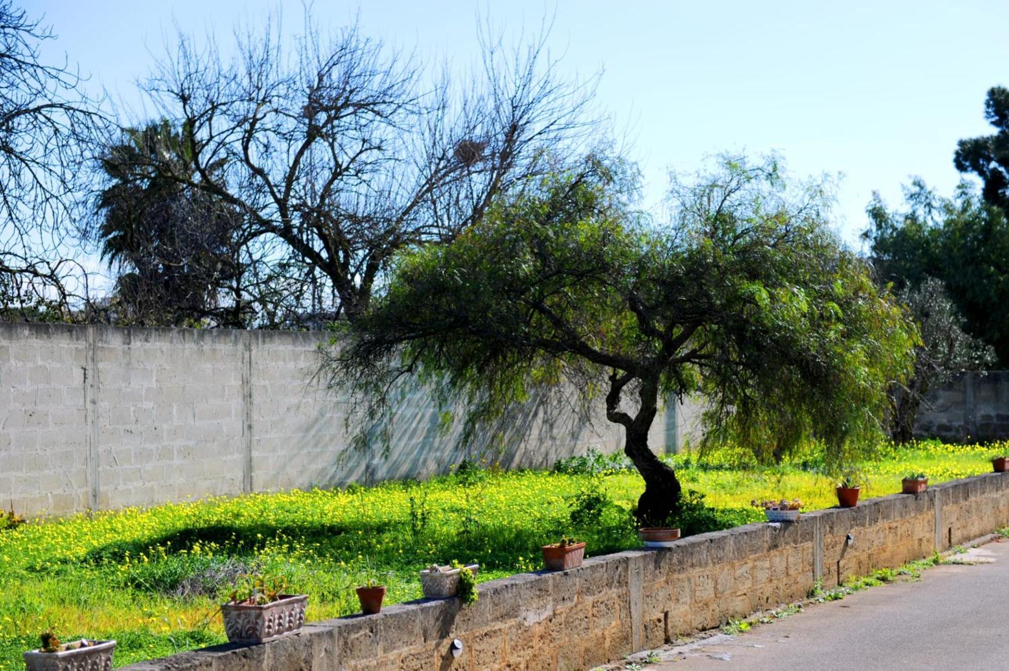 Le Residenze Salentine - Case Vacanza In Lecce Exterior photo